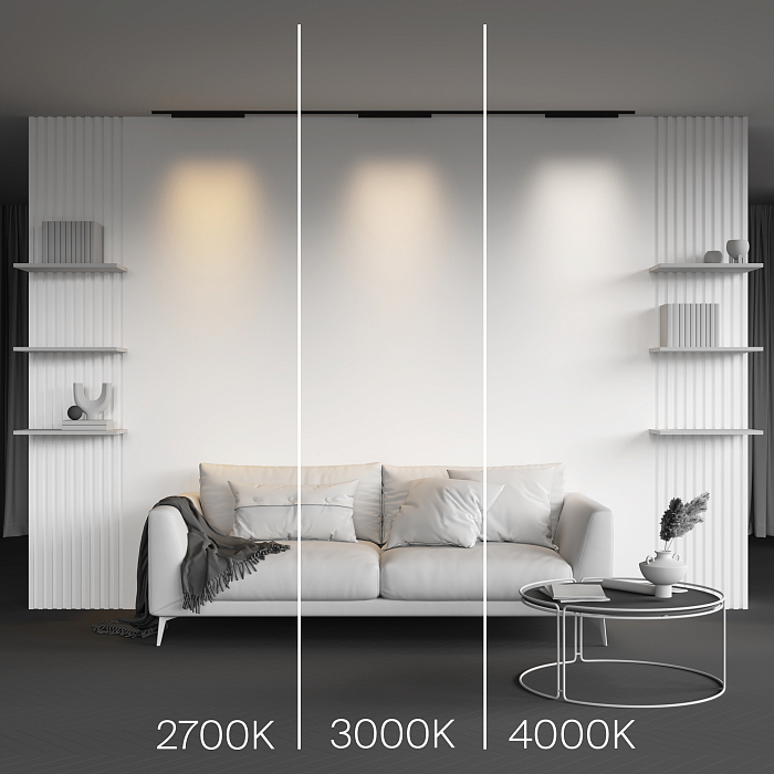 Трековая система Technical TR193-1-20W4K-M-B