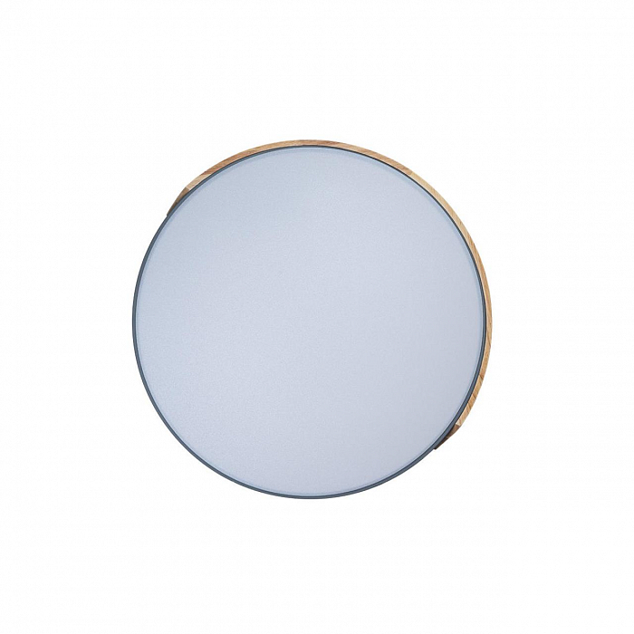 Светильник светодиодный LOFT IT 10004/36 Grey