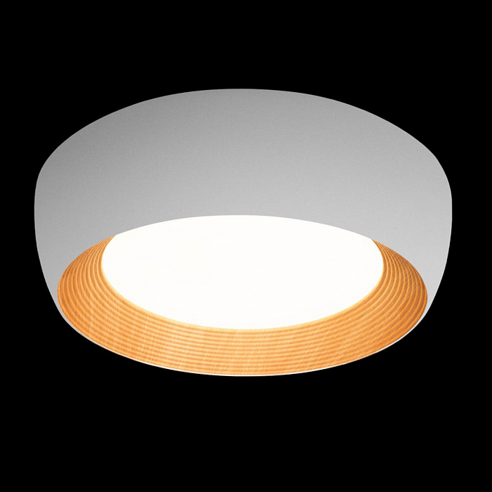 Светильник LOFT IT 10255/500 White