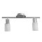Спот на 2 лампы ARTE LAMP A4510PL-2SS