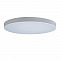 Светильник светодиодный LOFT IT 10002/48 White