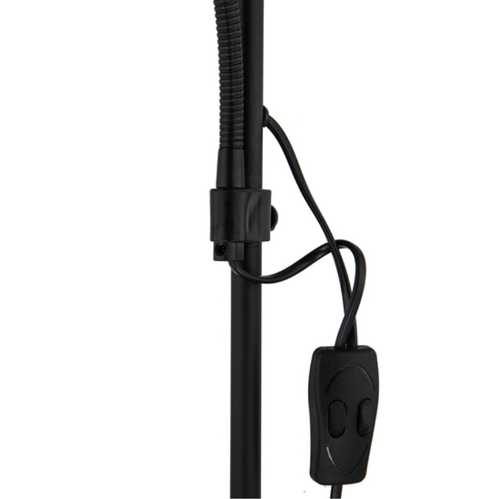 Торшер на 2 и более ламп ARTE LAMP A9569PN-2BK