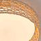 F-Promo 4749-4C