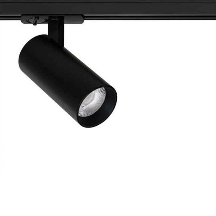 ARTE LAMP A1946PL-1BK