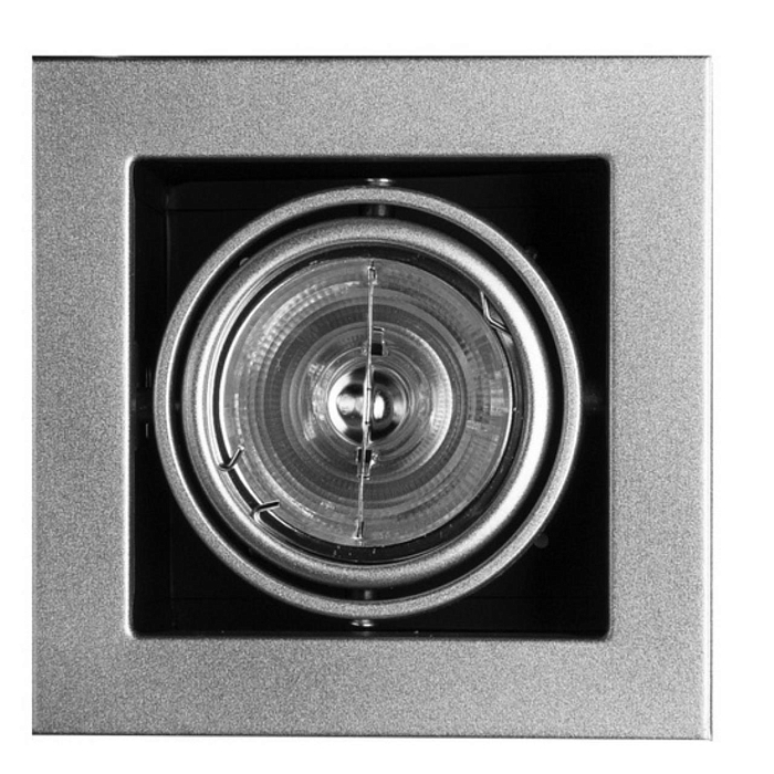 Спот встраиваемый ARTE LAMP A5930PL-1SI