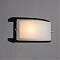 Светильник на 1 лампу ARTE LAMP A6462AP-1CK