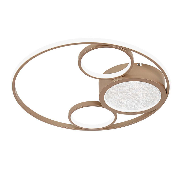 F-Promo 4681-4C