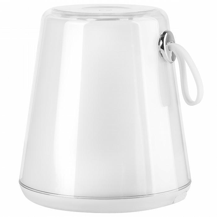Настольная лампа Lightstar 745950