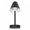 Светильник LOFT IT 10216/1W Black