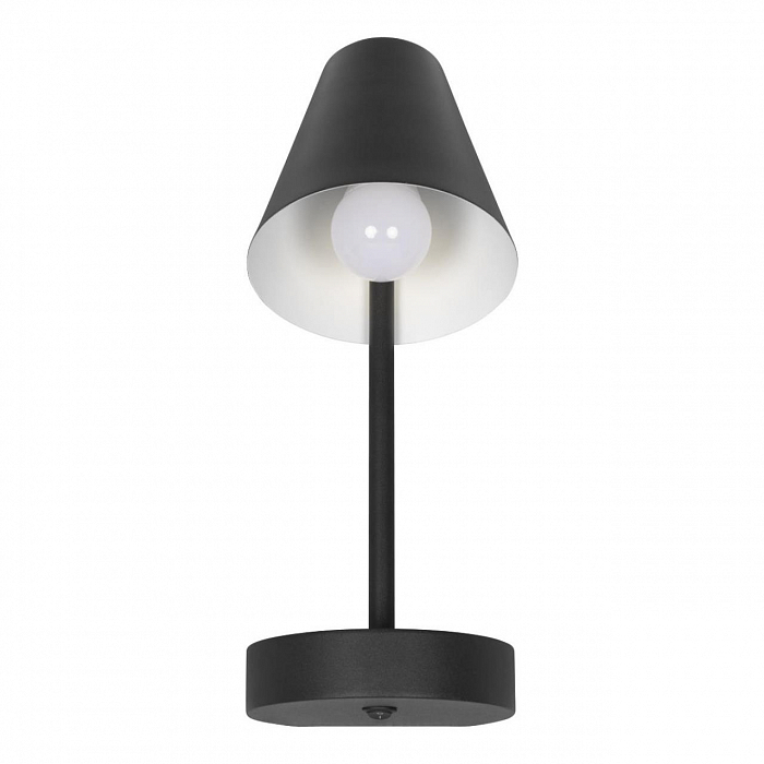 Светильник LOFT IT 10216/1W Black