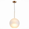 Светильник одинарный ST LUCE SL1133.523.01