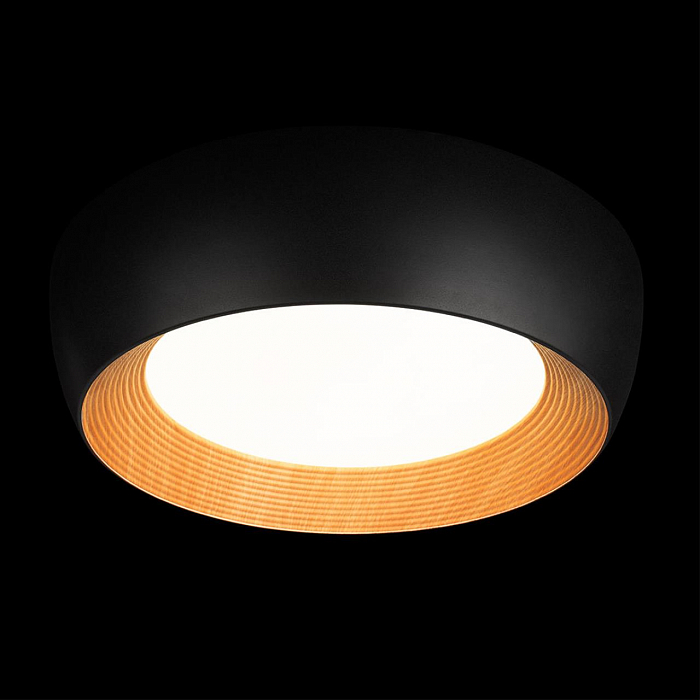 Светильник LOFT IT 10255/500 Black