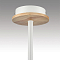 LUMION 8246/3C