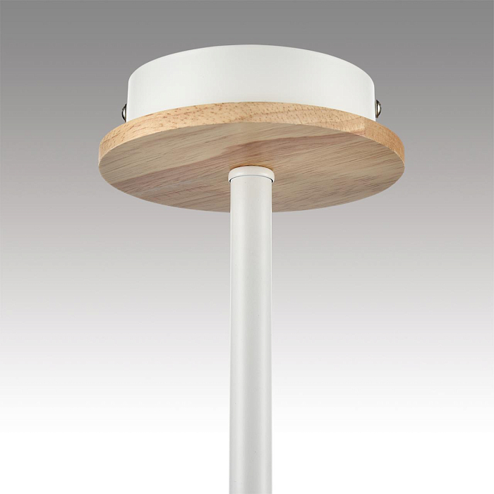 LUMION 8246/3C