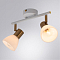 Спот на 2 лампы ARTE LAMP A3117PL-2WH