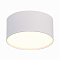 Светильник потолочный ST LUCE ST606.532.12