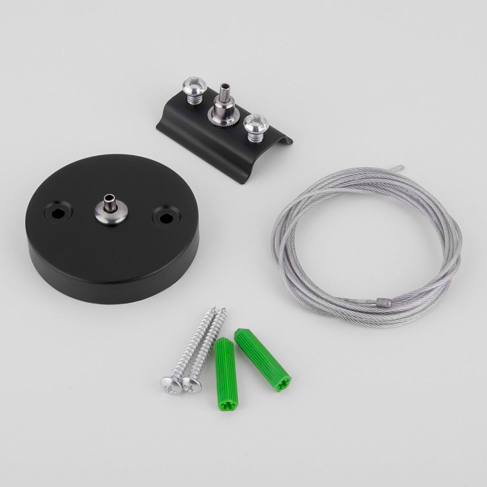 Elektrostandard TRF-1-200-BK