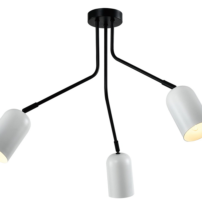 Rivoli 3167-303