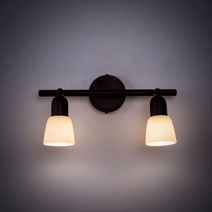 Спот на 2 лампы  CL506524