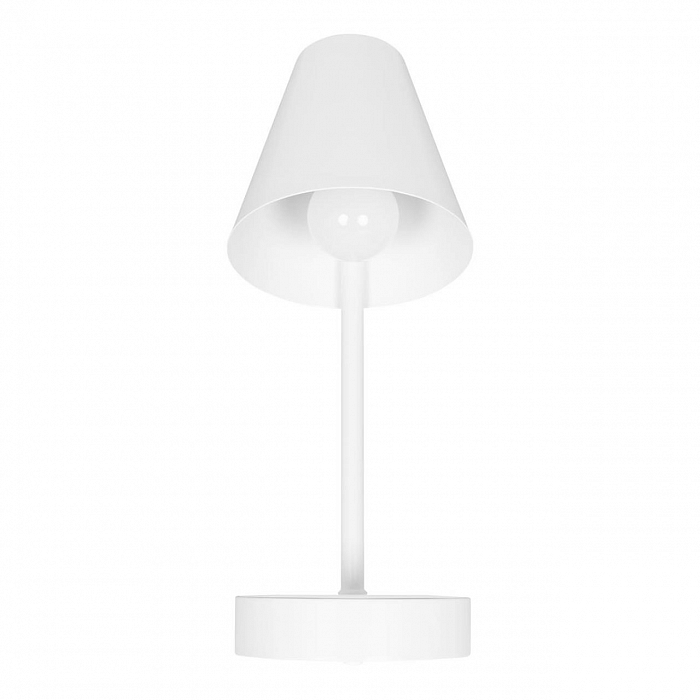 Светильник LOFT IT 10216/1W White
