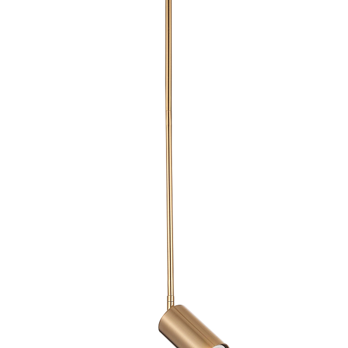 Светильник NewRgy P070DW/1 BRASS