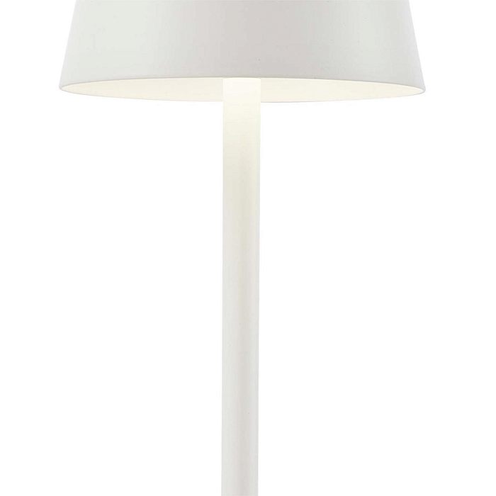 F-Promo 4614-1T