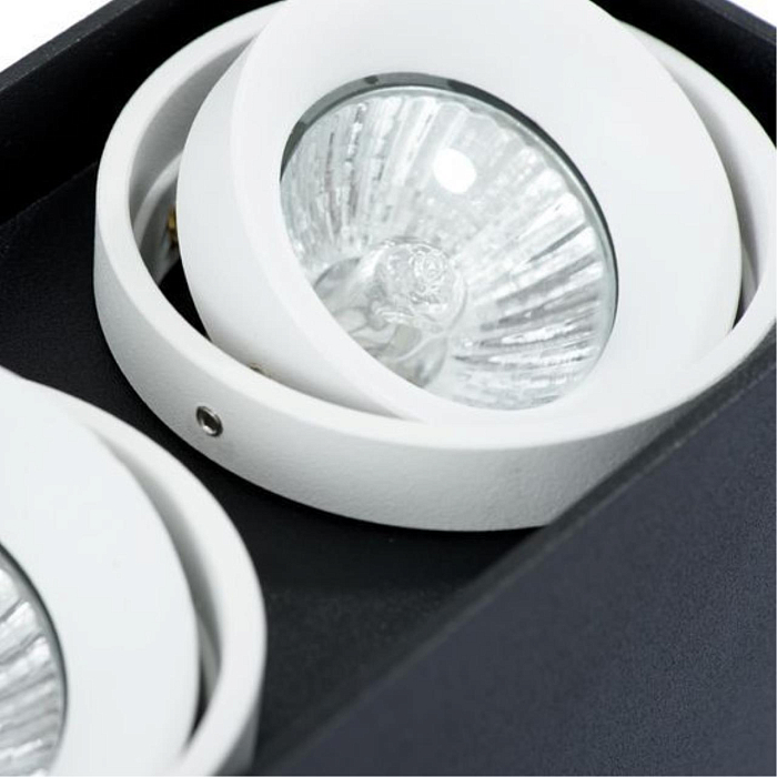 Светильник накладной ARTE LAMP A5655PL-2BK