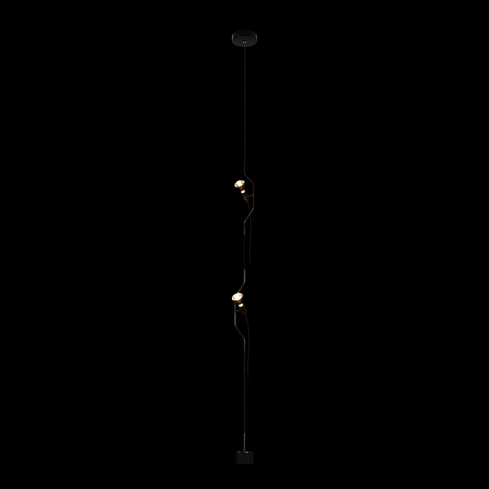 Светильник LOFT IT 10346/2 Black