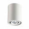Светильник накладной ODEON LIGHT 3564/1C