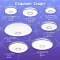 Светильник потолочная  CL703A11G