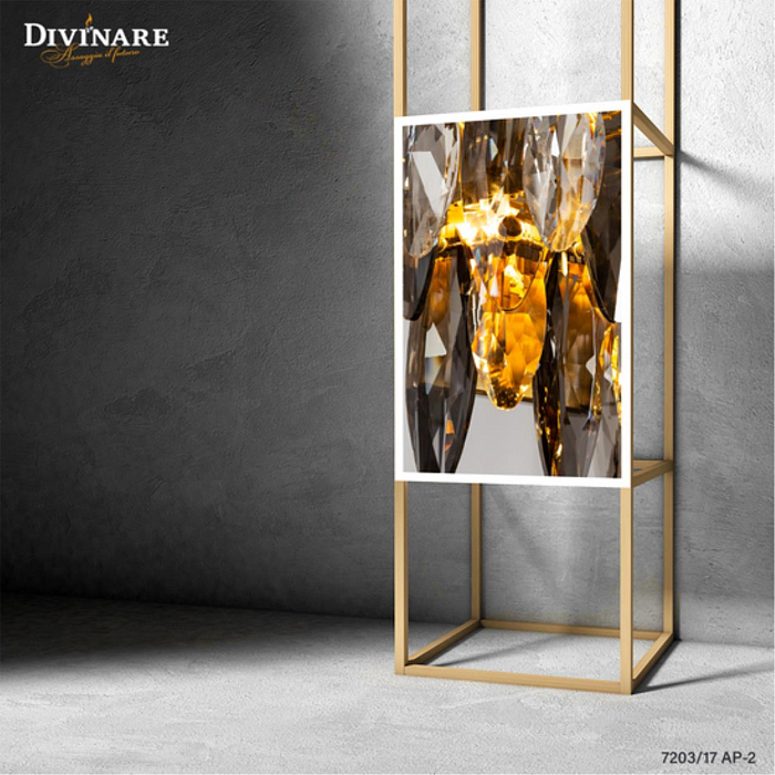 Светильник на 2 лампы Divinare 7203/17 AP-2
