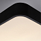 Светильник с пультом ARTE LAMP A2663PL-1BK