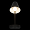 Светильник LOFT IT 10216/1W Black