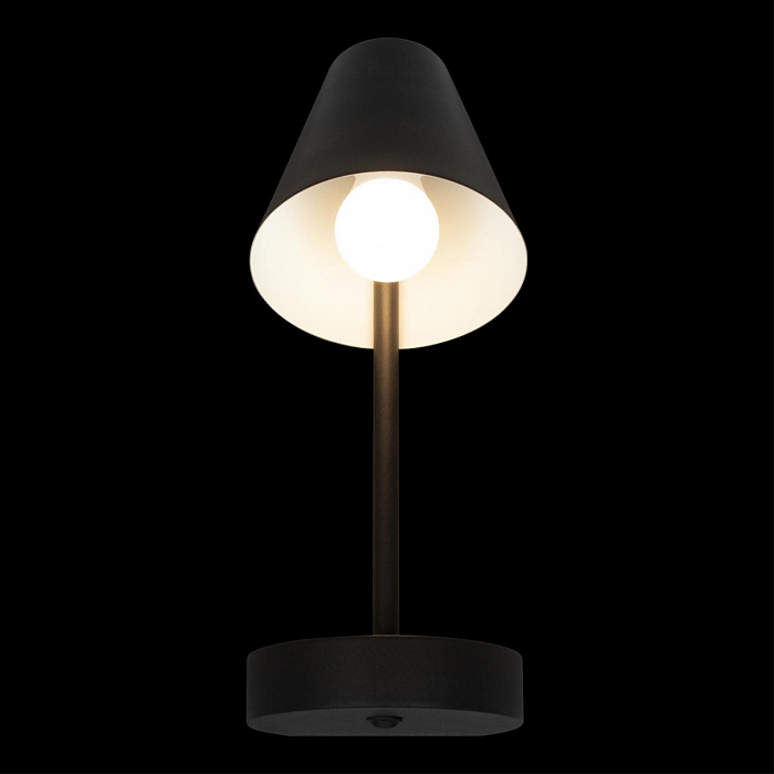 Светильник LOFT IT 10216/1W Black