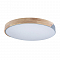 Светильник светодиодный LOFT IT 10004/36 Grey