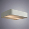 Светильник светодиодный ARTE LAMP A7210PL-2WH