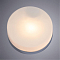 Светильник светодиодный ARTE LAMP A6047PL-1CC