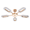 Люстра ARTE LAMP A2489PL-5GO