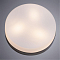 Светильник светодиодный ARTE LAMP A6047PL-3AB