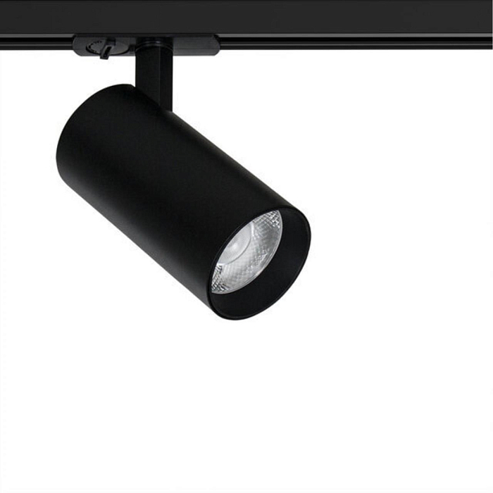 ARTE LAMP A1947PL-1BK