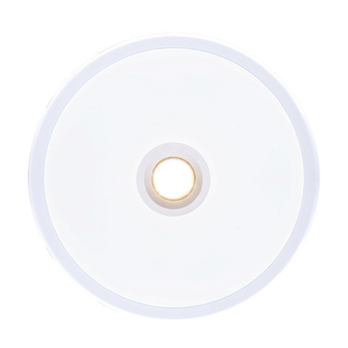 Светильник встраиваемый ARTE LAMP A2517PL-2WH