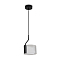 Светильник Freya FR5541PL-L5B