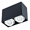 Светильник накладной ARTE LAMP A5655PL-2BK