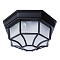 Уличный светильник настенно-потолочный ARTE LAMP A3100PL-1BK
