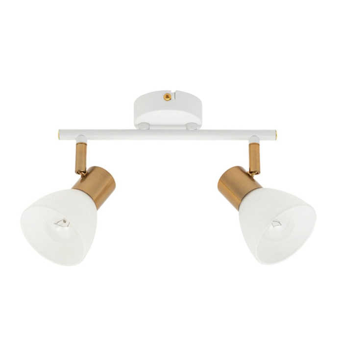 Спот на 2 лампы ARTE LAMP A3117PL-2WH