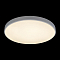 Светильник светодиодный LOFT IT 10002/48 White