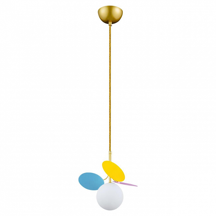 Светильник LOFT IT 10008/1P mult