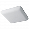 FERON 41570
