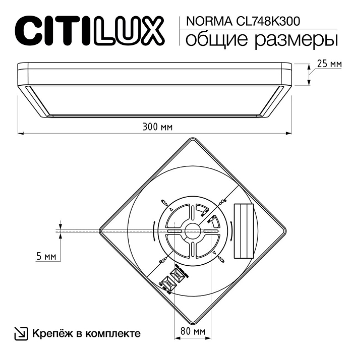 Светильник  CL748K300