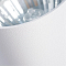 Светильник накладной ARTE LAMP A1516PL-1WH